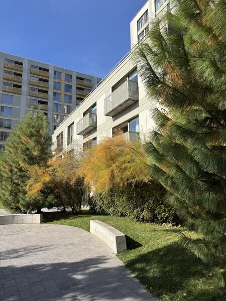 Aviatiei,